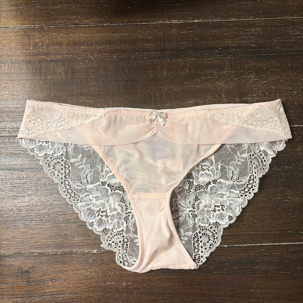 NWT Adore Me Blush Lace Mesh Cheeky Panty XS